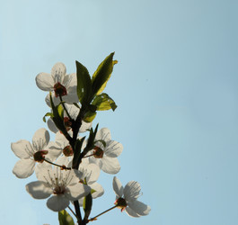 Similar image 102737