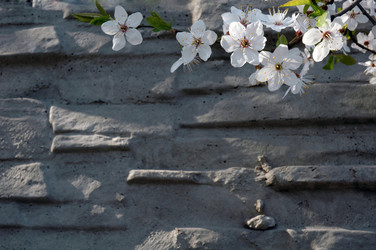 Similar image 102739