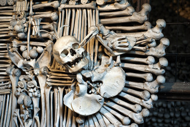 Similar image 102748