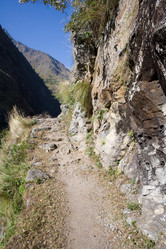 Similar image 102788