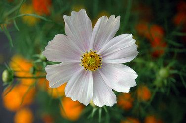 Similar image 102814