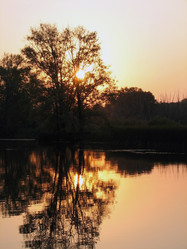 Similar image 102832