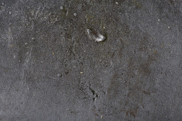 Similar image 102871