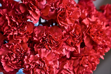 Similar image 102874