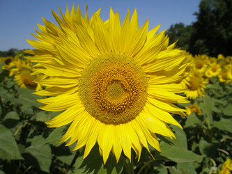 Similar image 102914