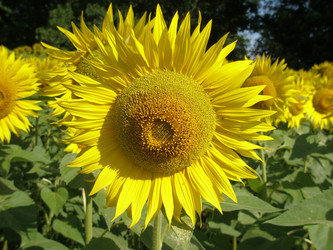 Similar image 102915