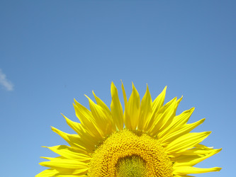 Similar image 102920