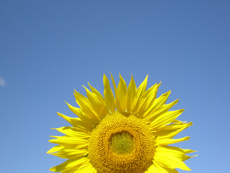 Similar image 102921