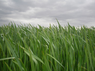 Similar image 102922