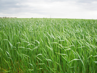 Similar image 102923