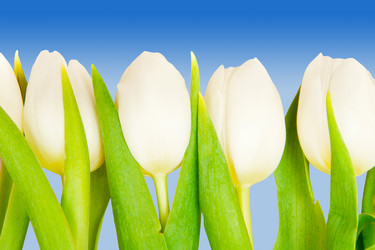 Similar image 102950