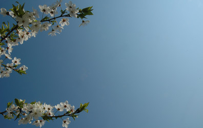 Similar image 103088