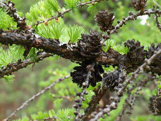 Similar image 103094