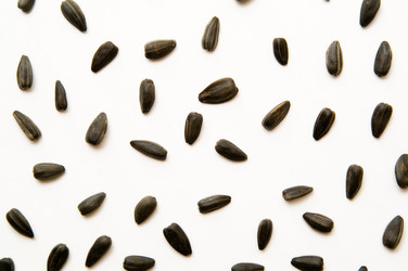 Similar image 103139