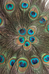 Similar image 103176