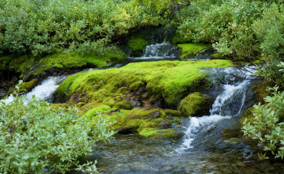 Similar image 103197