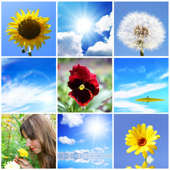 Similar image 103312