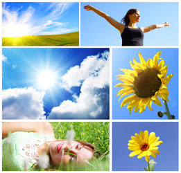 Similar image 103313