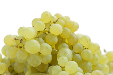 Similar image 103331