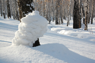 Similar image 103335