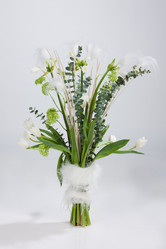 Similar image 103371