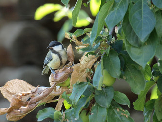 Similar image 103395