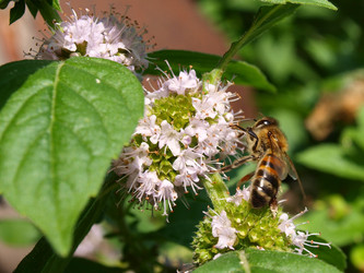 Similar image 103397