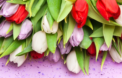 Similar image 103474