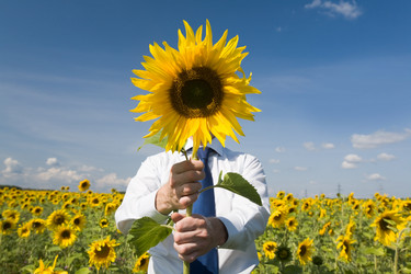 Similar image 103537