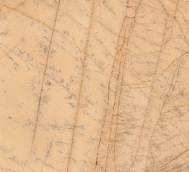 Similar image 103555