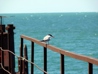 Similar image 103632