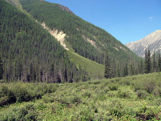 Similar image 103675