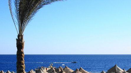 Similar image 103707