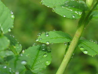 Similar image 103772