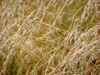 Similar image 103814