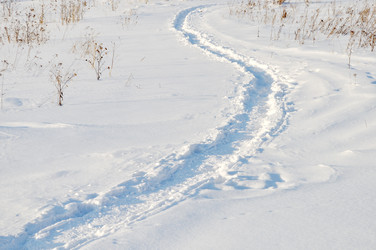 Similar image 103818