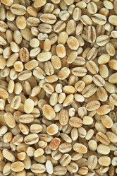 Similar image 103819