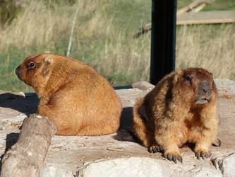 Similar image 103843