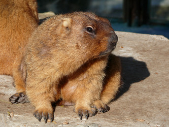 Similar image 103844