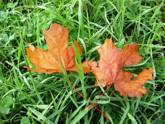 Similar image 103858