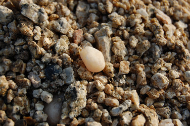 Similar image 103916