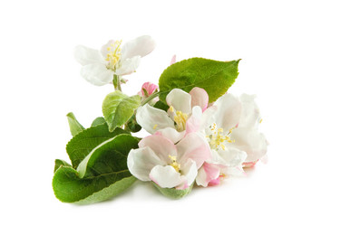 Similar image 103977