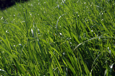 Similar image 104056