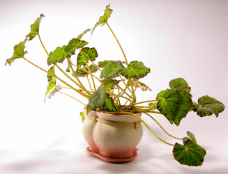 Similar image 104062