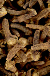 Similar image 104073