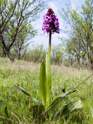 Similar image 104142