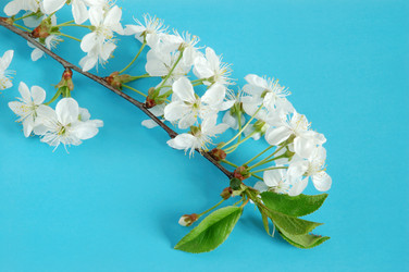 Similar image 104145