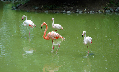 Similar image 104222