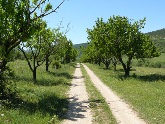 Similar image 104299