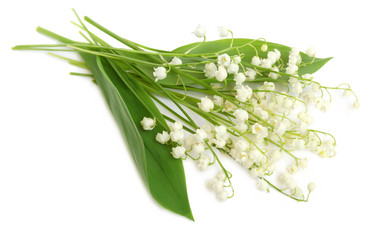 Similar image 104301